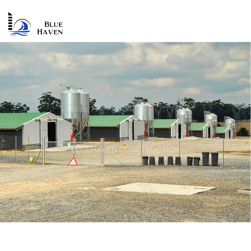 Prefabricated Steel Structures Poultry Farm House Shed/Steel Structural Chicken Shed