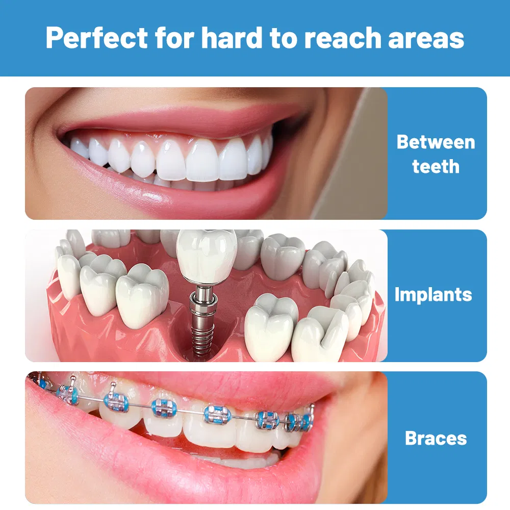 Oral Care Interdental Brushes Oral Toothpick with Clean Dental Tooth Flossing Head