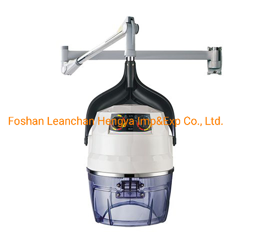 Wall Hair Dressing Dryer Hair Holder for Salon and Home