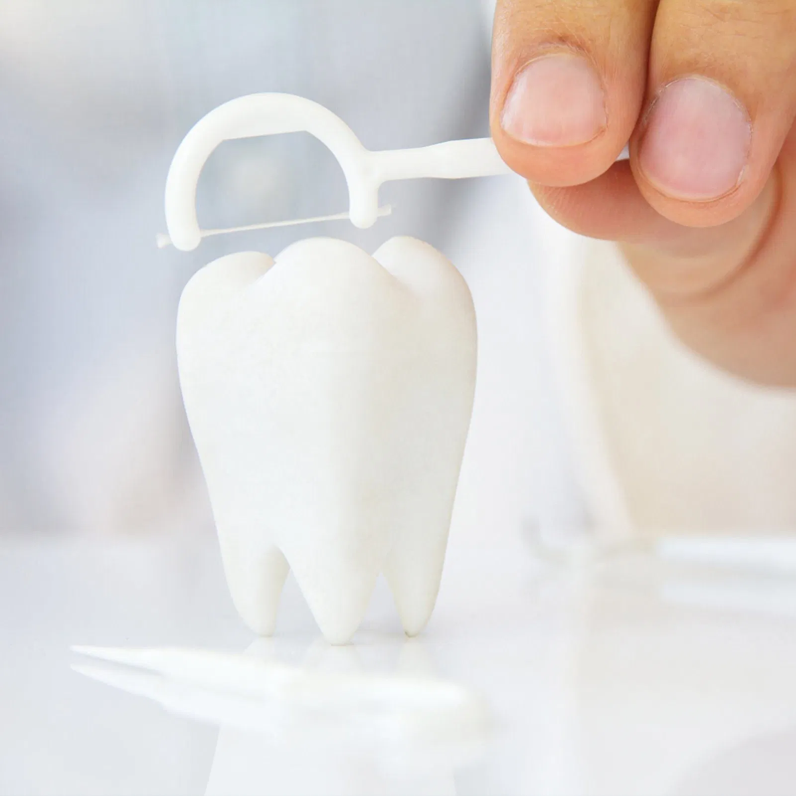 China Factory Dental Floss Pick for Oral Care