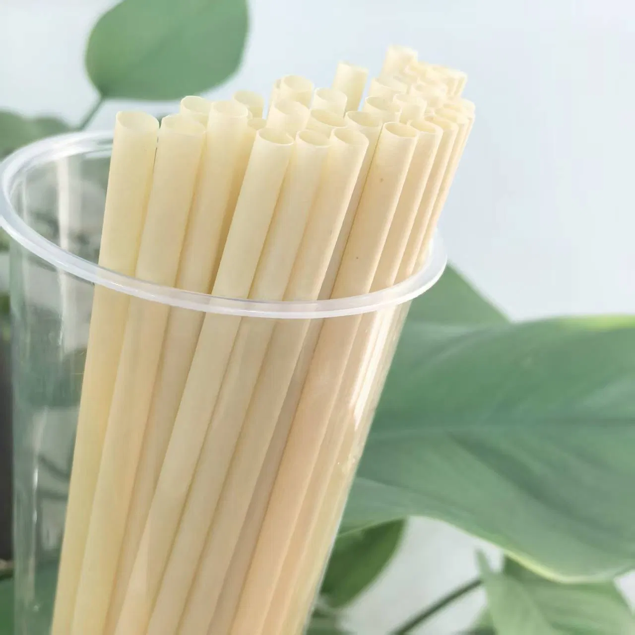 PLA Free Sugarcane Straw Biodegradable Compostable Bagasse Drinking Straws 6mm 7mm 8mm 10mm 12mm
