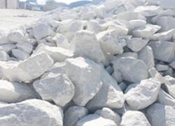 High Quanlity Dolomite Powder Used for Glass/Refractory Materials
