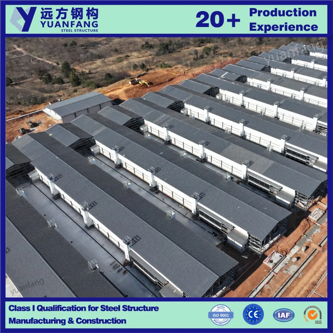 Wholesale China Factory Direct Construction Building Material of Steel Structure Chicken House / Warehouse for Industry