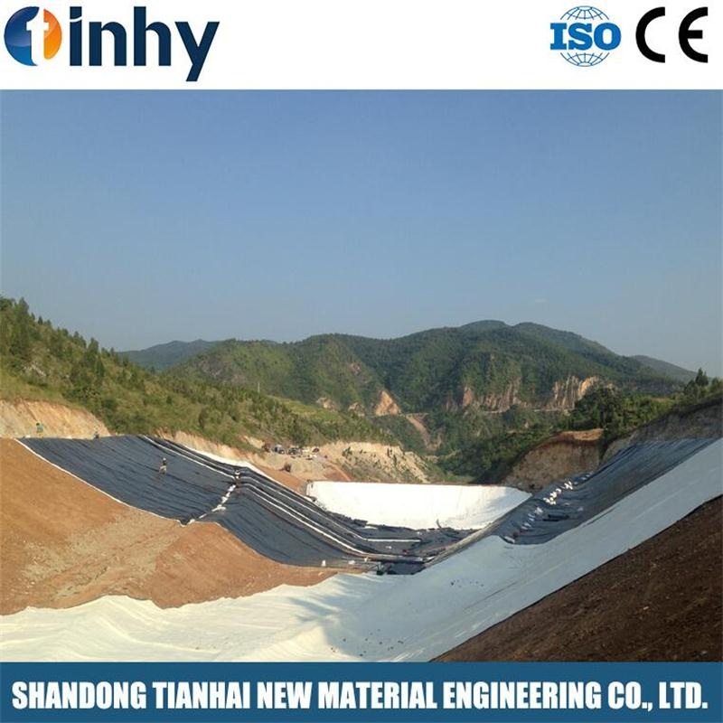Gcl Sodium Bentonite Geosynthetics Liner 5500G/M2 with Best Strength
