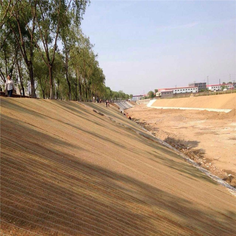 Erosion Control Blanket Coir Coconut Fiber Geotextile for Slope Reinforcement