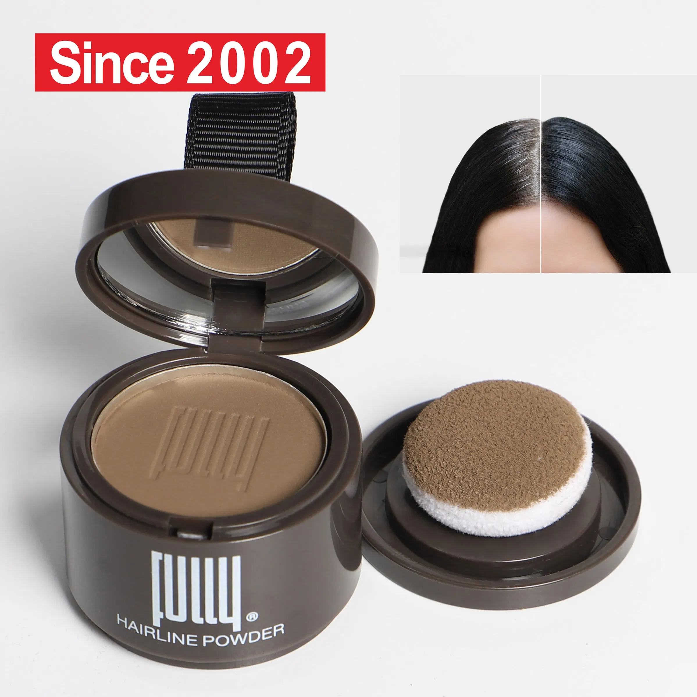 Free Sample Hair Loss Concealer Powder Quality Waterproof Hairline Shadow Powder
