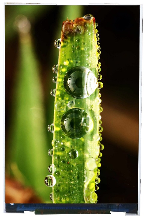 3.5-дюймовый IPS дисплей для медицинского оборудования