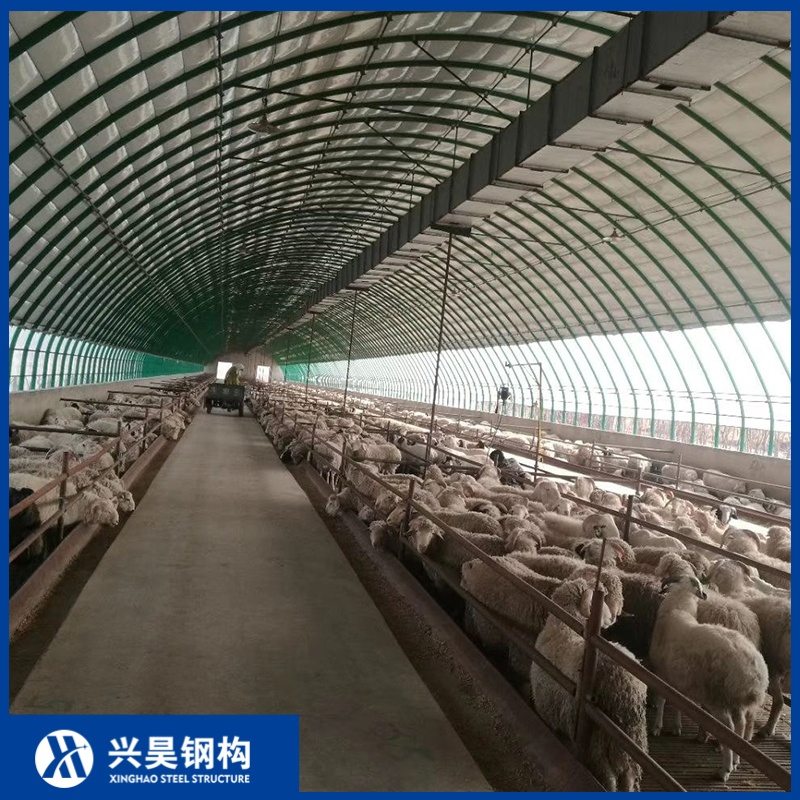 Continuous High-Rigidity Steel Truss Assembly Prefab Metal Storage Farming Equipment Steel Structure Sheep/Goat/Pig/Hog/Cattle/Cow/Poultry House/Shed