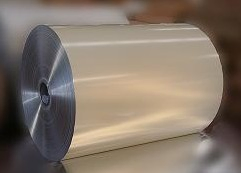 Food Grade Color Coating Aluminum Coil or Sheet