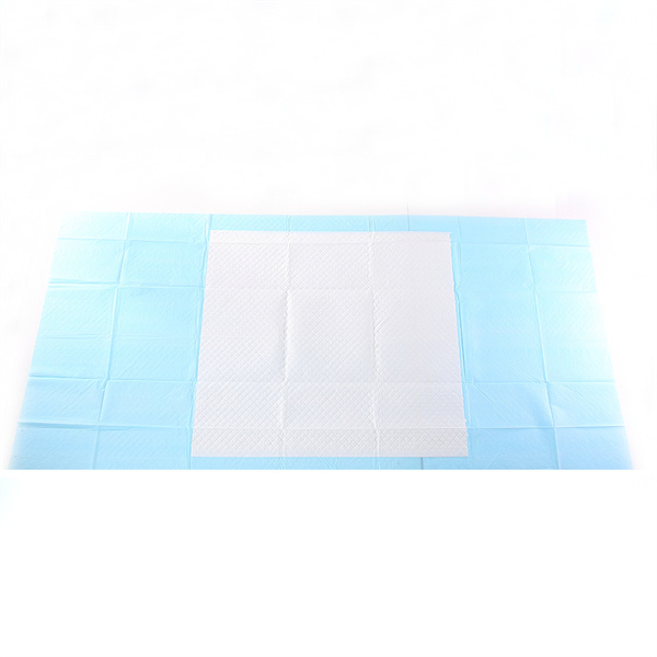 Scented Training Pad for Puppy Pads Waterproof Dog Cat
