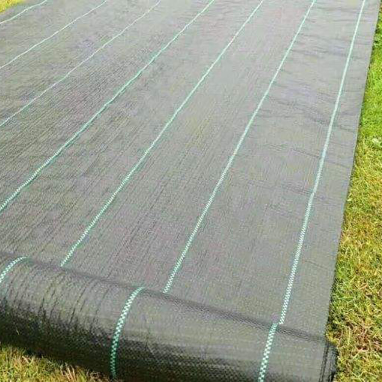 Good Quality UV Stabilized Weed Control Mat Ground Cover PP Woven Fabric Roll