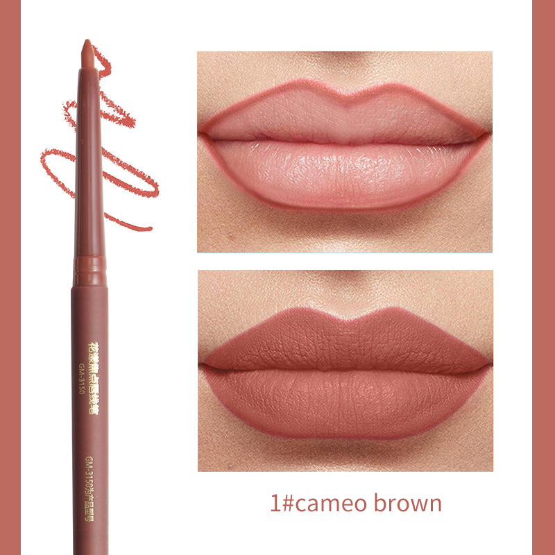 Ditong Private Label High Pigment Long Lasting Matte Nude Lipliner Pencil with Brush
