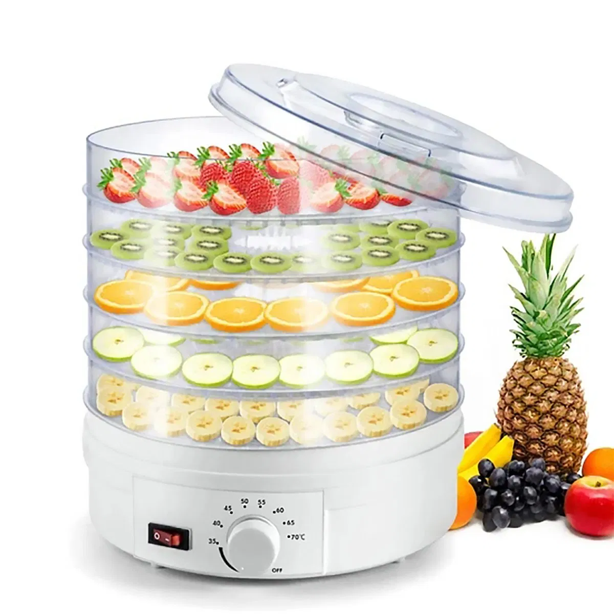 32cm Dia 5 Trays Electric Food Dehydrator Fruit Drying Machine