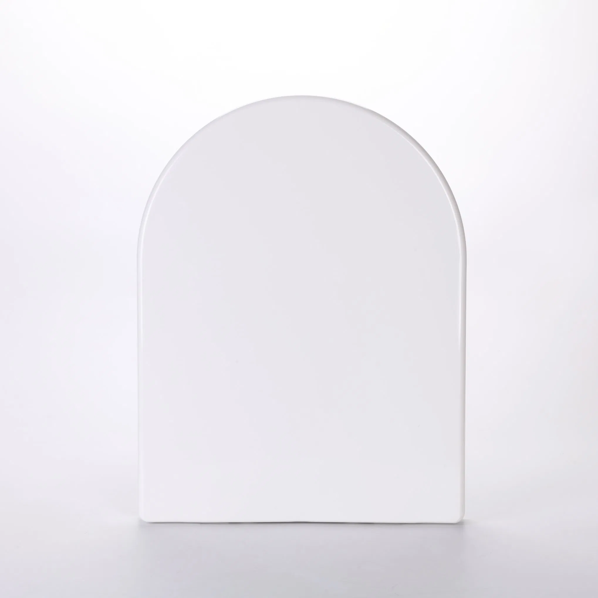 Modern Soft-Close Bidet Seat for Residential Use with CE & SGS (Adjustable Spray)