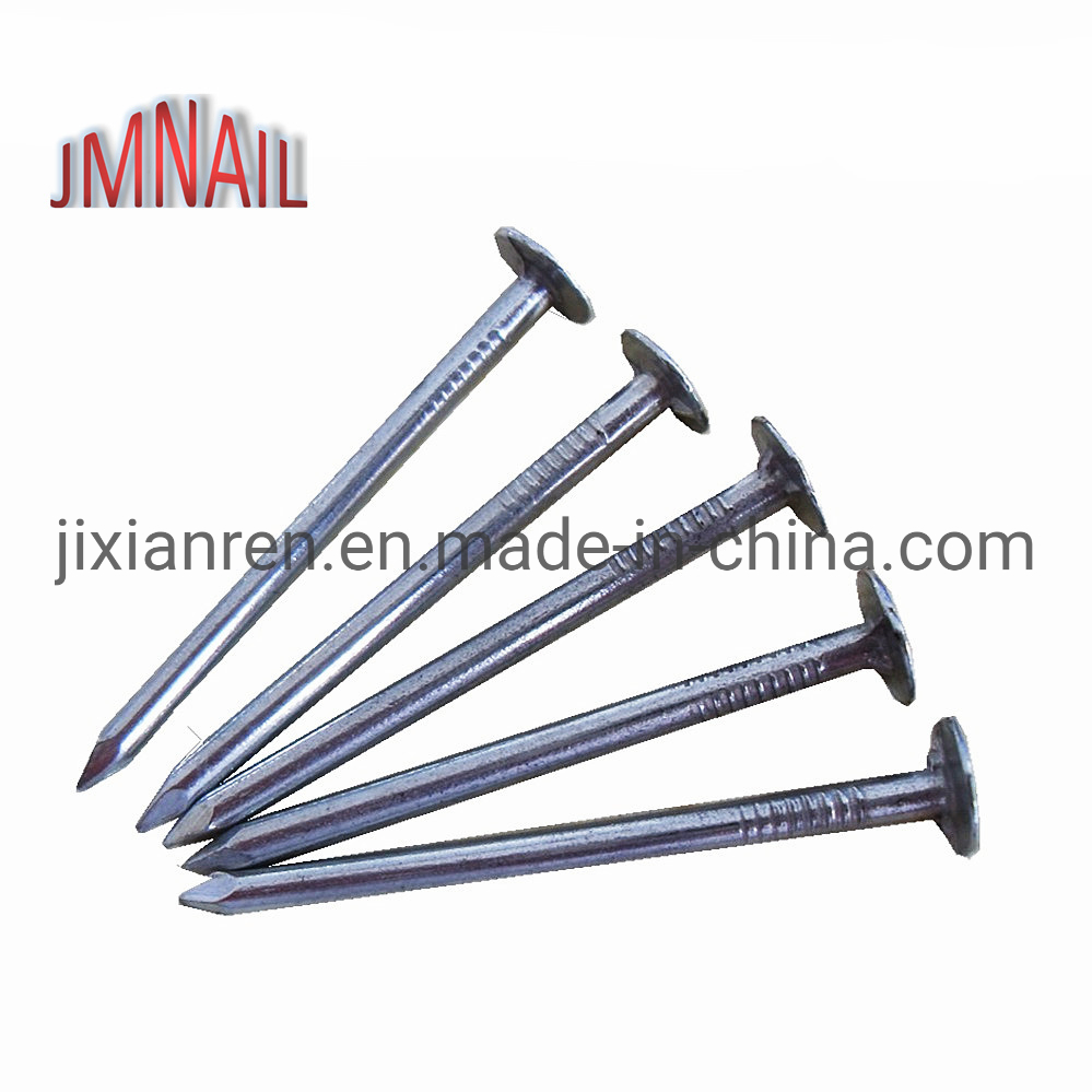 Roofing Nail/Clout Nail/Big Head Nail/Copper Nail/Ceiling Nail/Nail