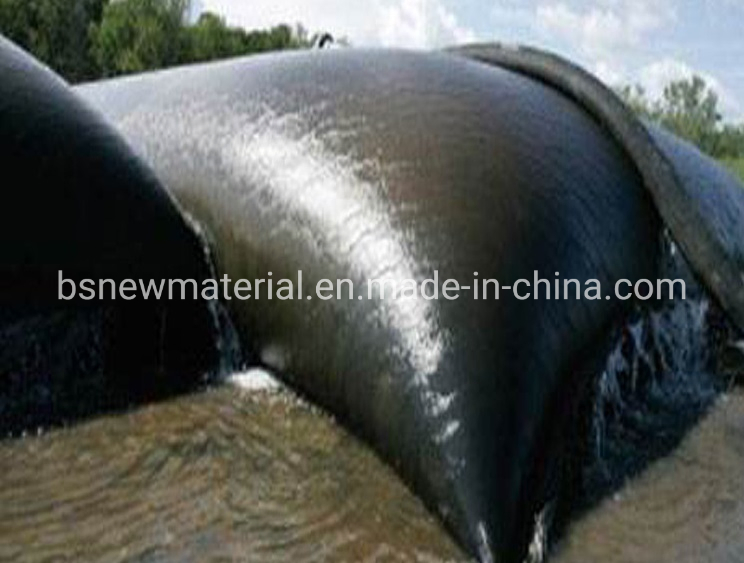 Gt500 Geotextile Sand Bag Coastal Beach Silt Dewatering Geo Tube, for Breakwater Seawall Embankment Cofferdam Artificial Surf Break Jetty Riverbank