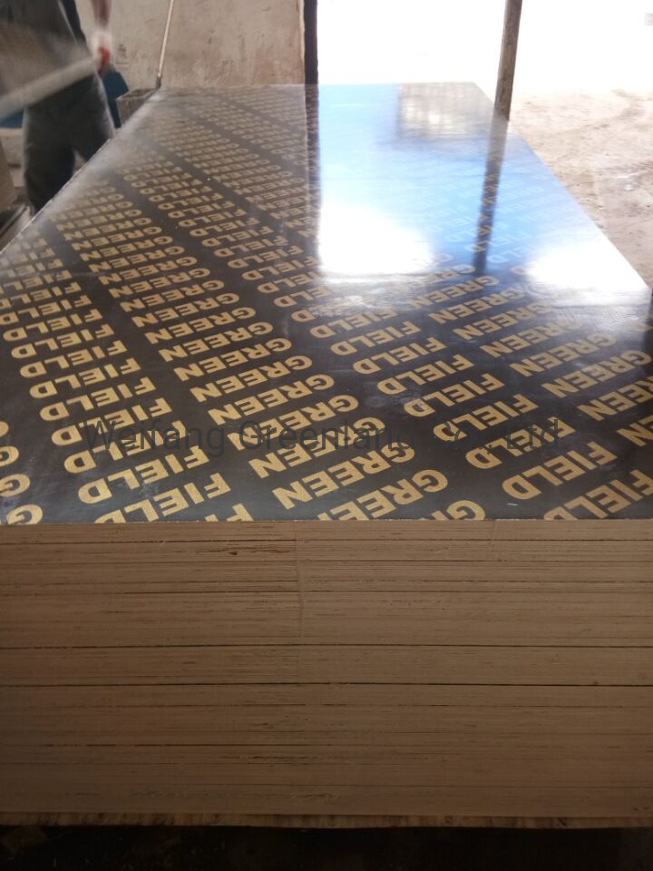 Hardwood Core/Poplar Core/Combi Core, Marine Plywood/Tego Film Faced Shuttering Plywood with Logo