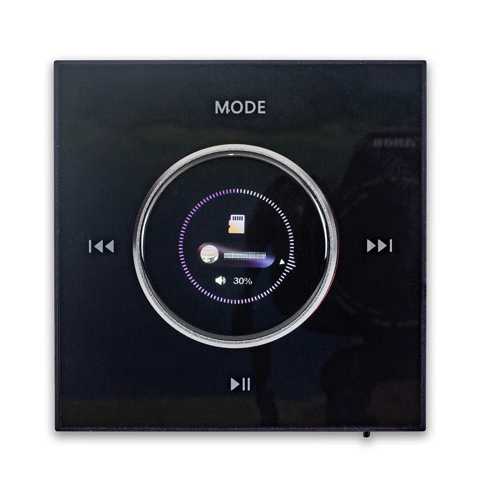 Home Theatre Wireless System Wall Mount Volume Control Controller Knob Amplifier with USB Port