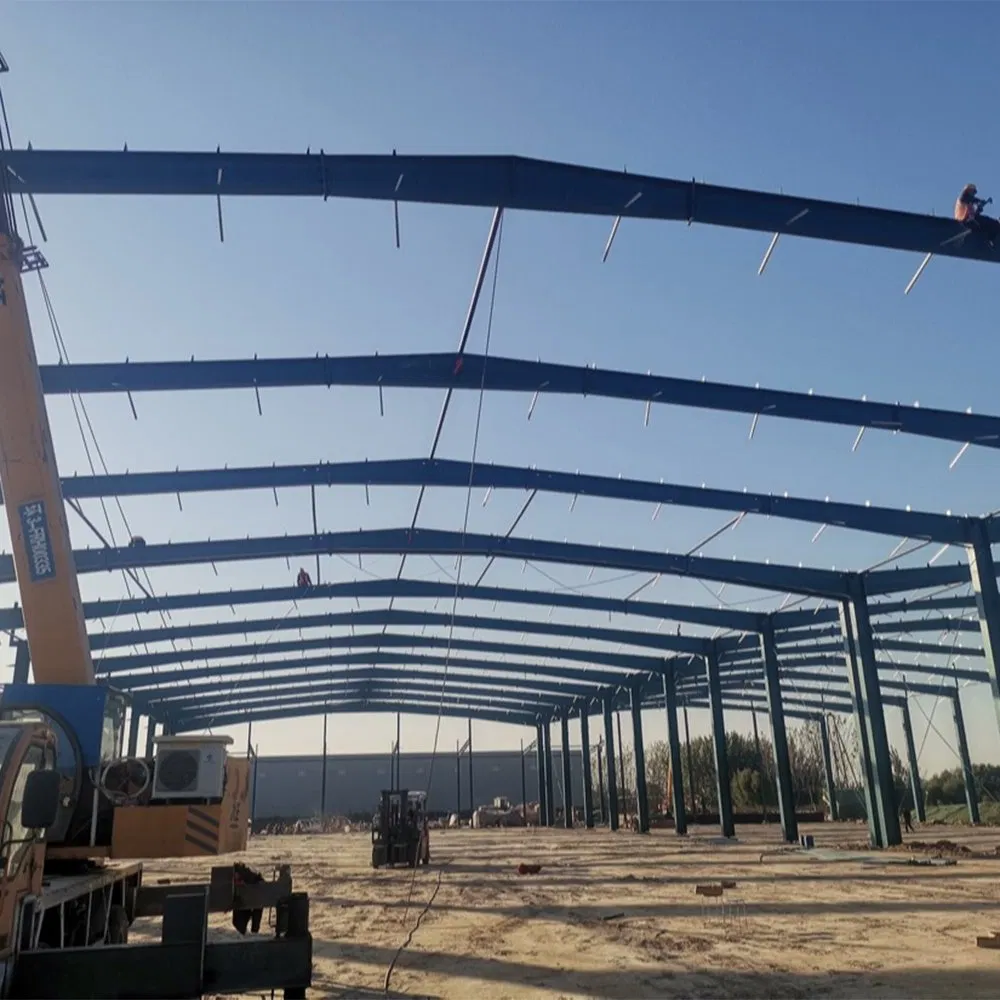 Pre Manufactured Custom Built Modular General Steel Insulated Cheap Metal Buildings for Sale