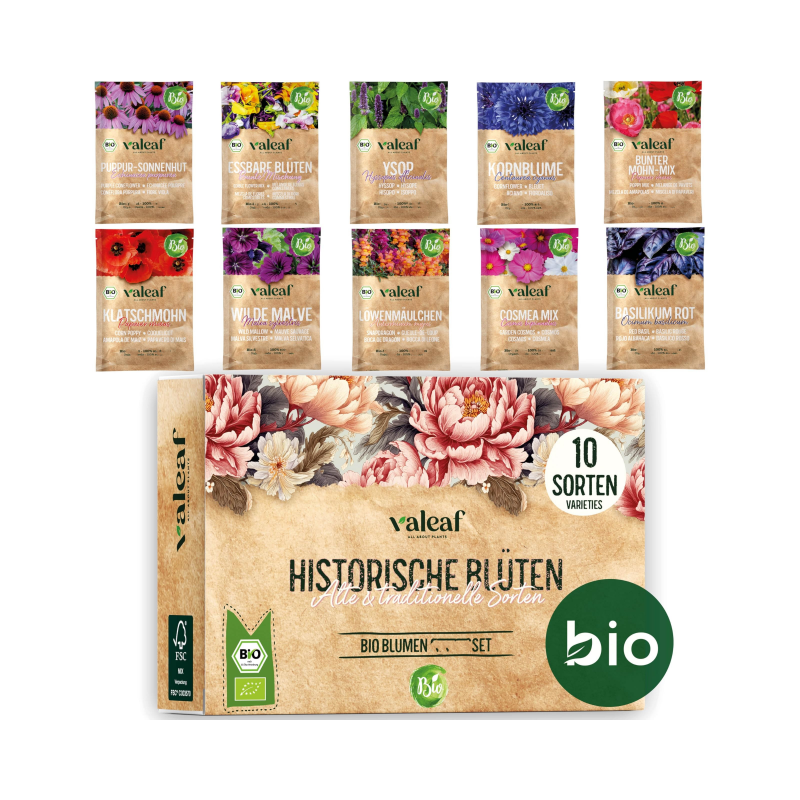 Набор для выращивания цветов домашний