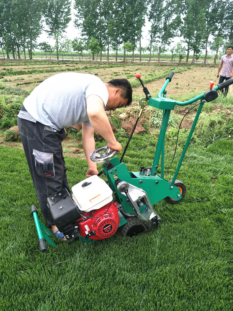 Бензиновый газонокосилка-дернорез Usewell 9 л.с.