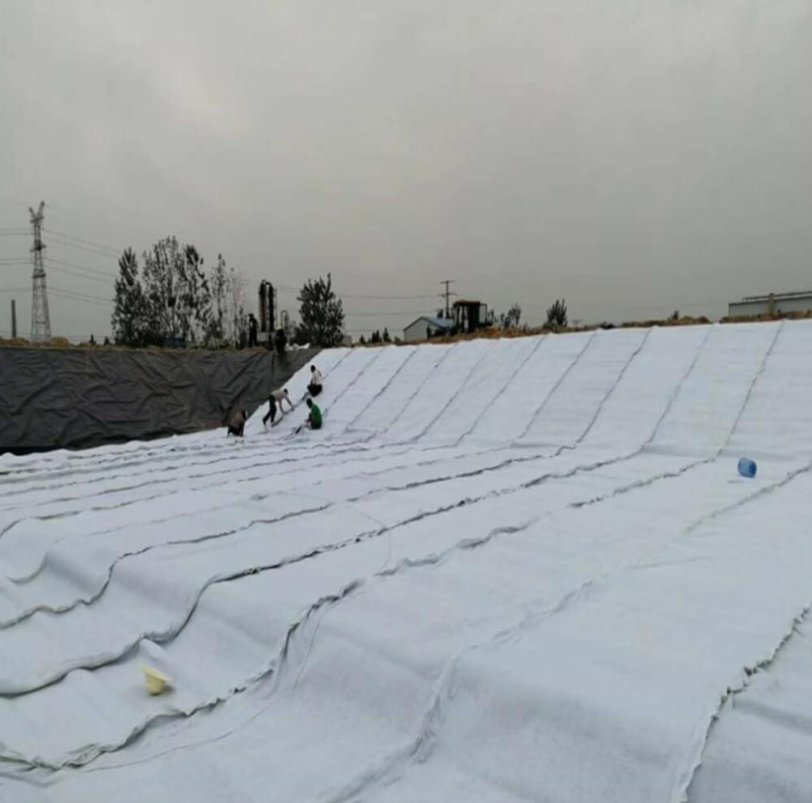 High-Strength Composite Drainage Geonet for Enhanced Water Management