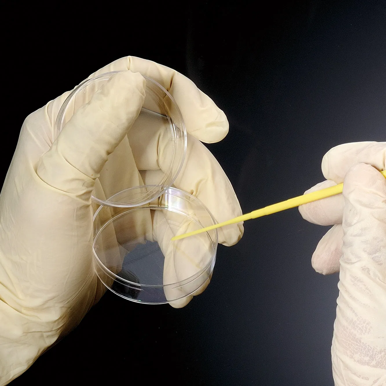 Laboratory Consumables 1UL 10UL Inoculating Loops &amp; Needles