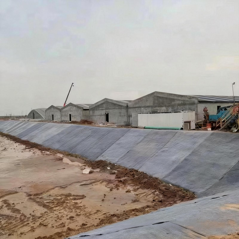 4800g Gcl Roll Material Waterproof Geosynthetic Clay Liner Blanket Cement Channel Anti-Seepage Coating Drainage Slopes School