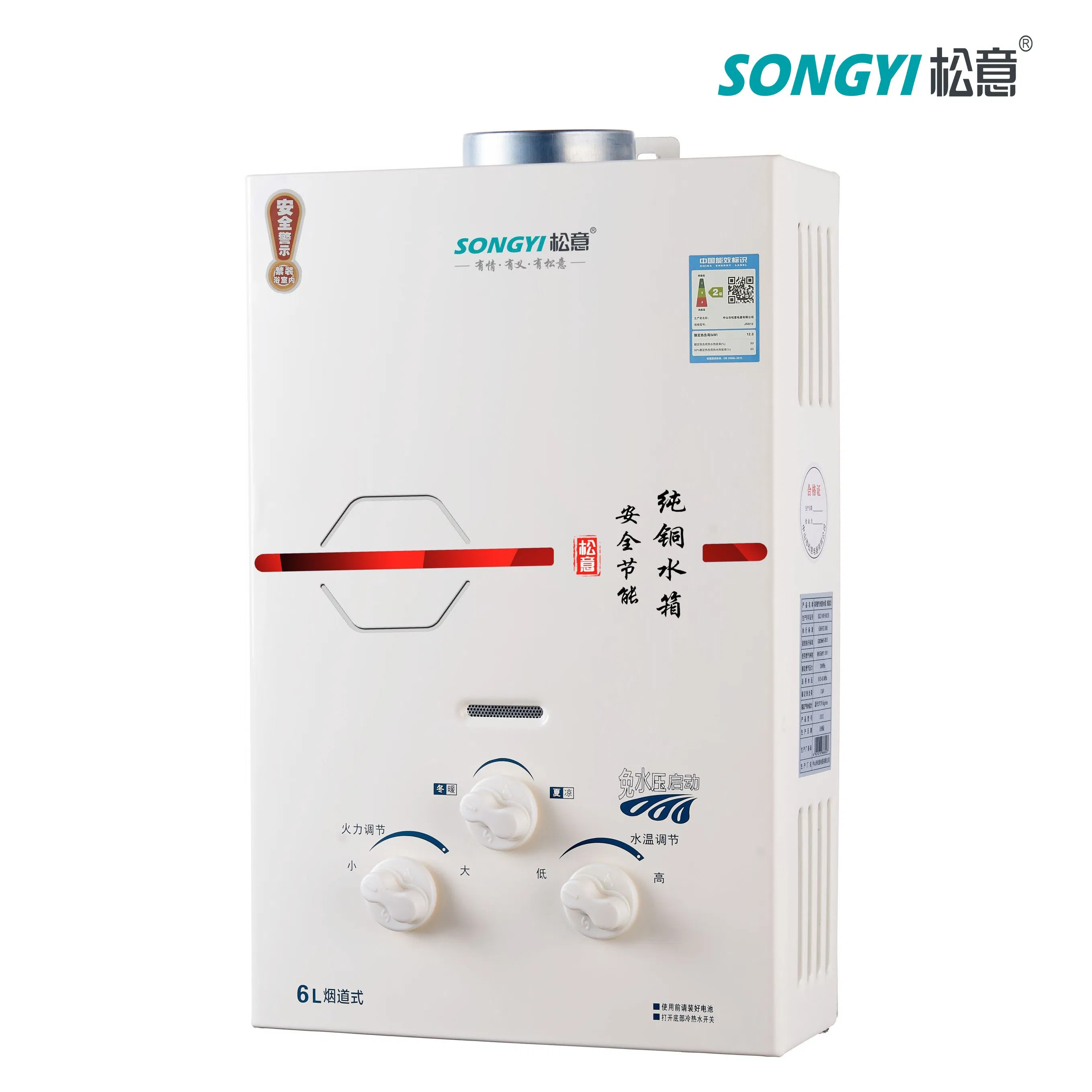 Indoor Flue Type Gas Water Heater Safety and Convenient for Residential Home Applications