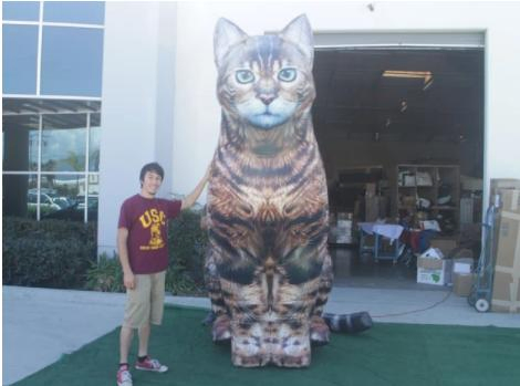 2023 New 10 FT. Giant Inflatable Realistic Cat