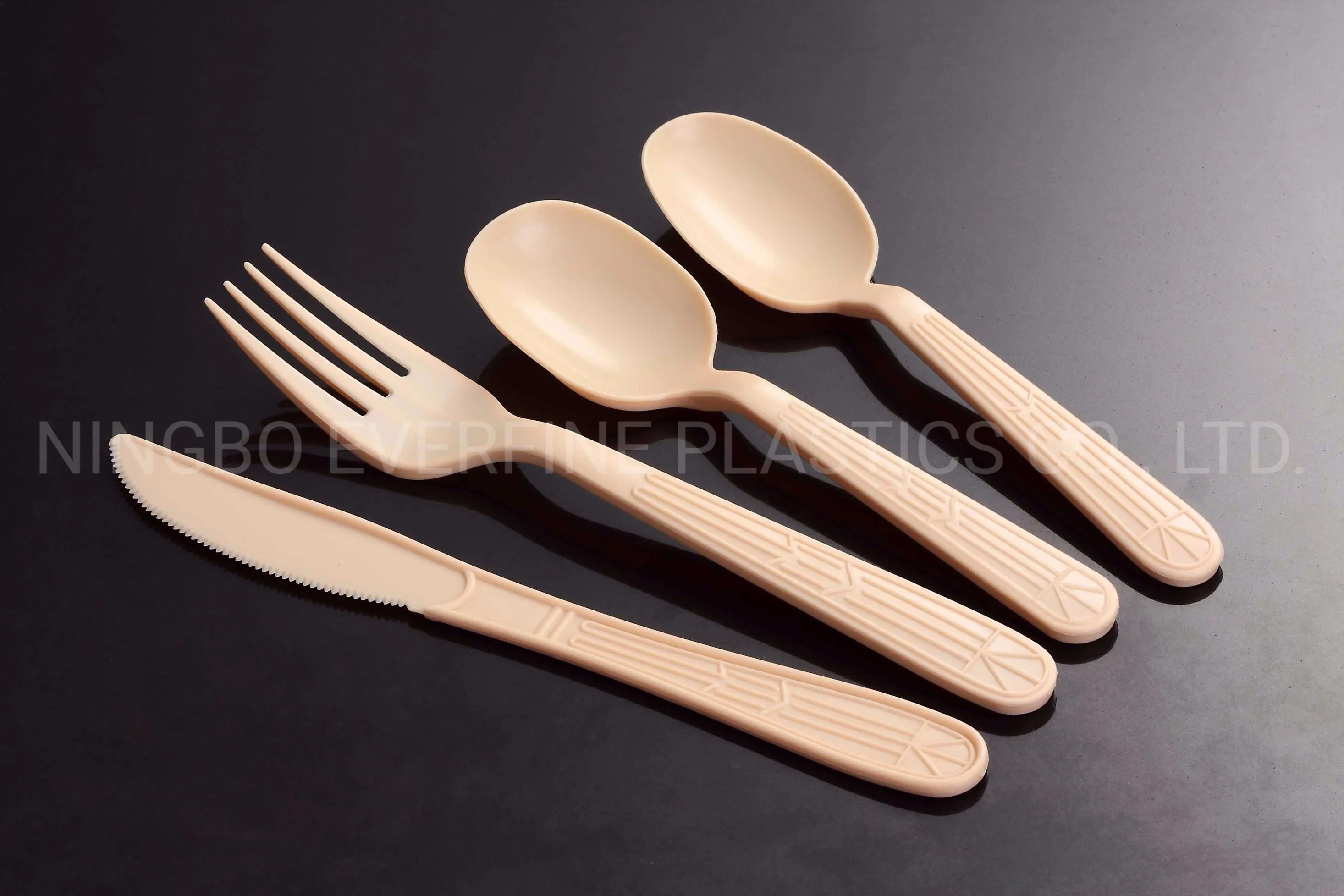 Heavy Weight PP Cutlery: Fork, Knife, Teaspoon, Soup Spoon (PP)