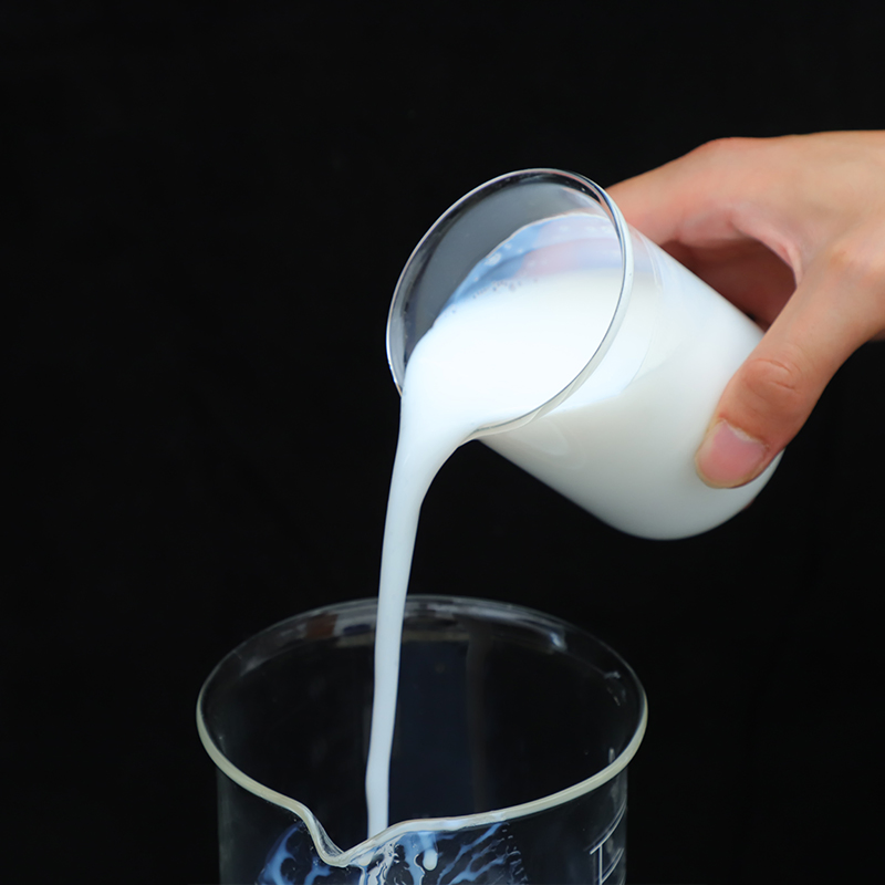 Octylsilane Hydrophobic Agent as Waterproofing for Masonry Surface Silway 744