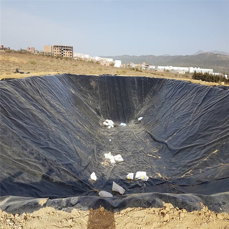HDPE Geomembrane Pond Liner for Fish Farm or Shrimp
