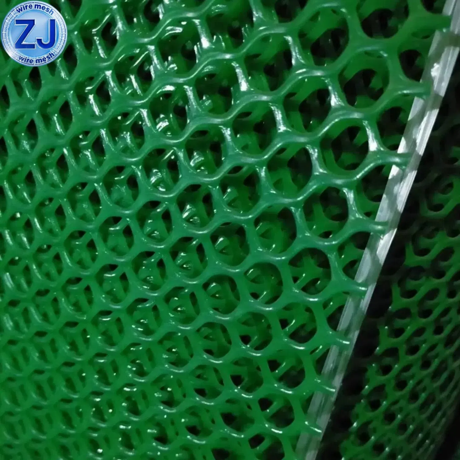 Plastic Flat Net in Chicken Farm