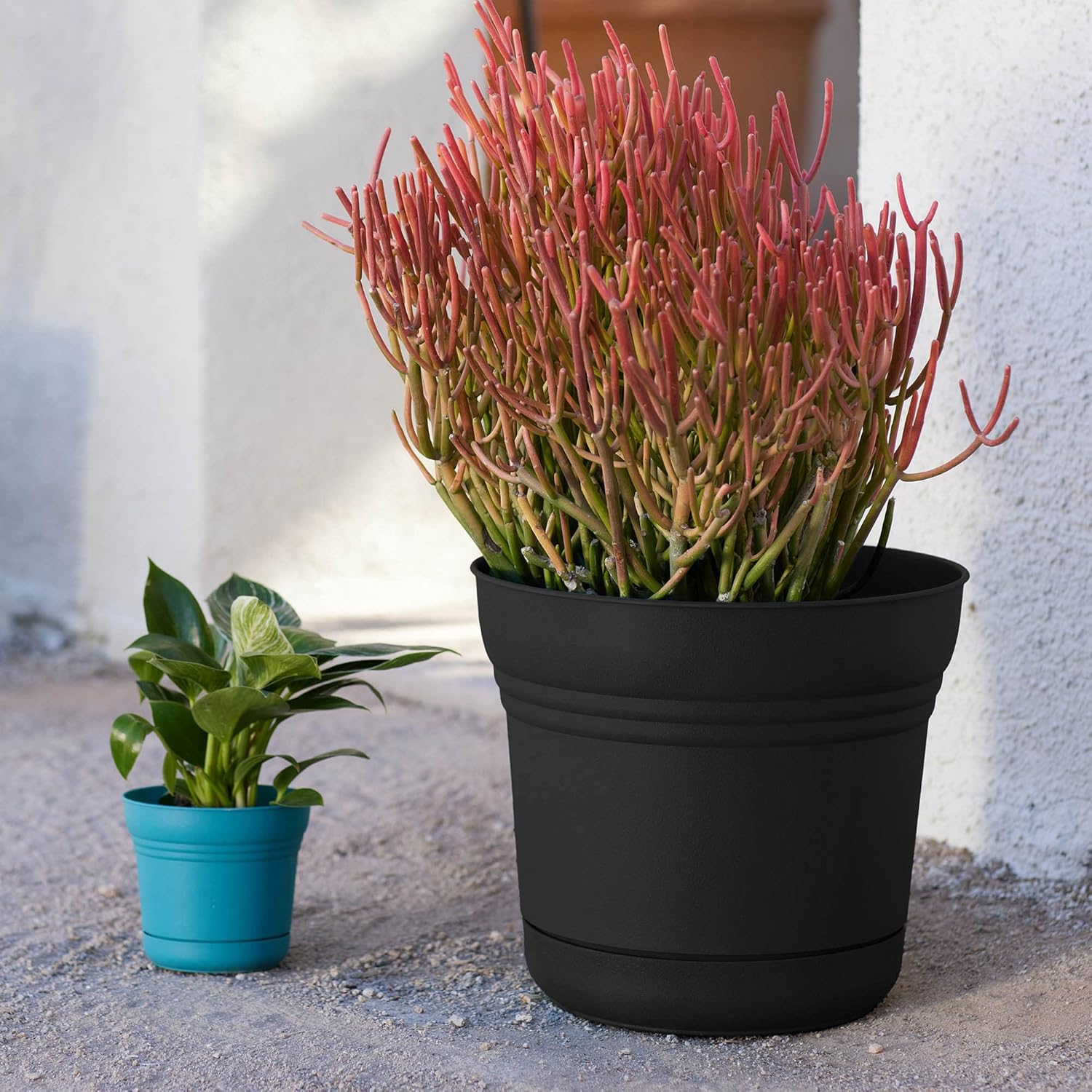 Горшки садовые для бонсай 11 литров