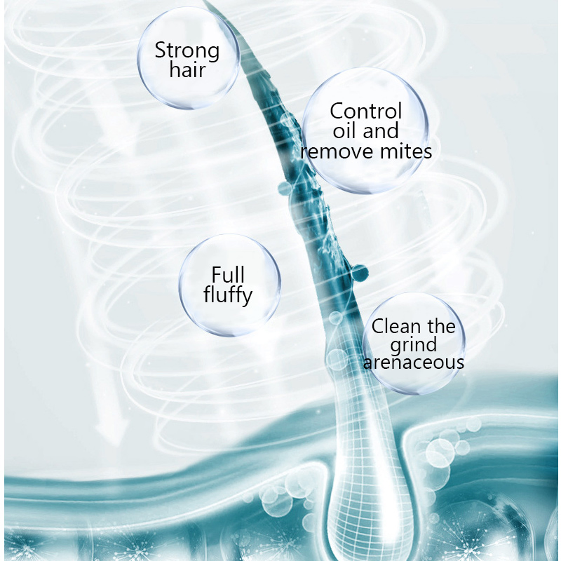 New Formula Ekber Organic Mint Oil Control Anti-Dandruff Sea Salt Scalp Scrub Hair Care Shampoo Wholesale