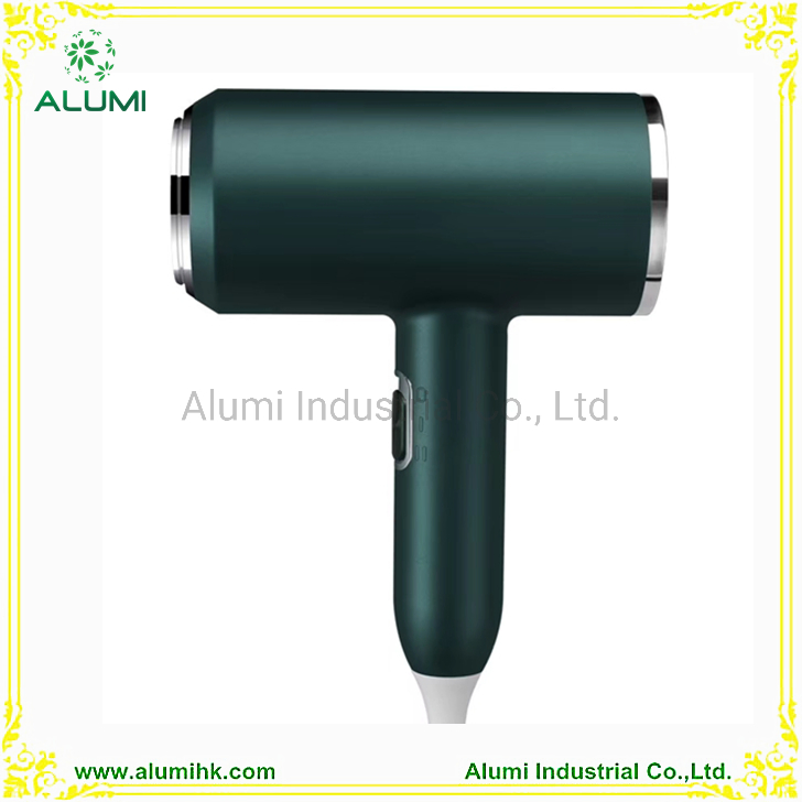 Professional Hair Dryer 1800W for Hotel Travel Hair Dryer