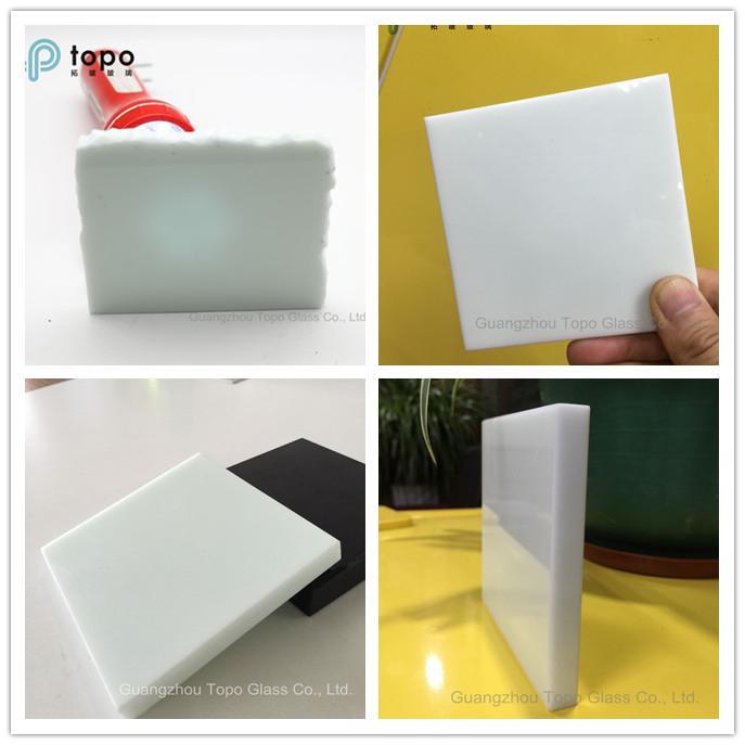 Function Glass / Special Glass for Building / Windows / Doors (S-TP)