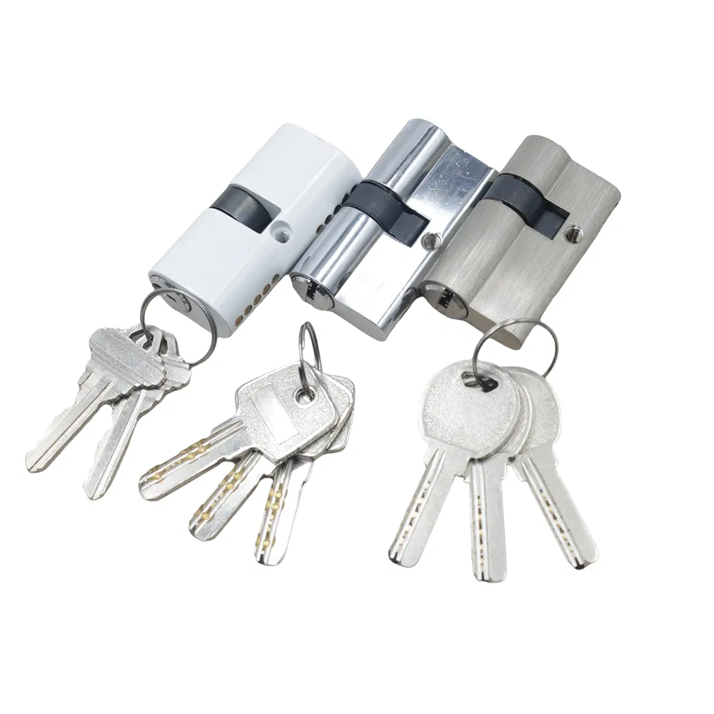 Office Furniture Euro Profile Brass Master Key Body Door Lock Master Key Cylinder Manufacturing Company