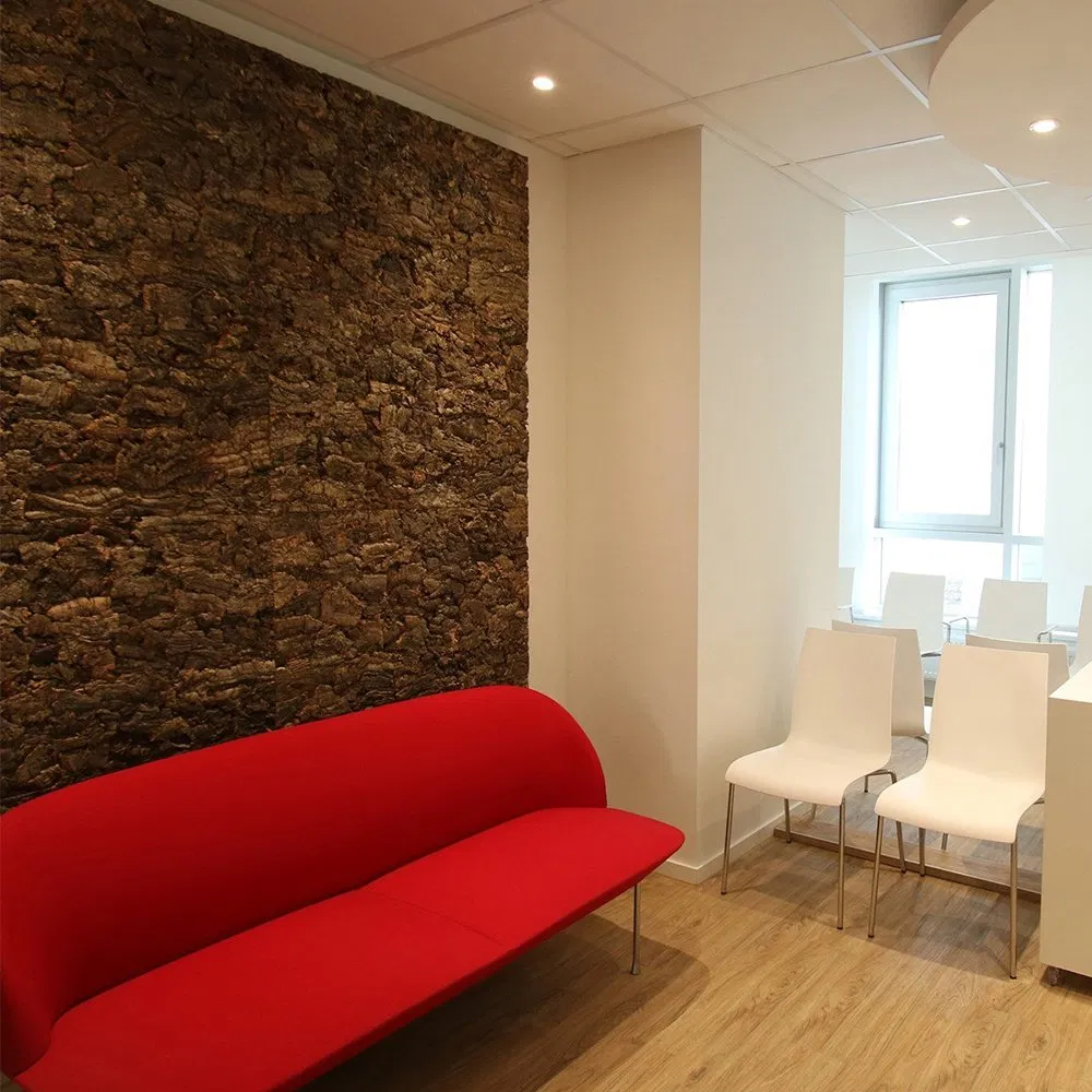 Natural Oak Tree Bulk Virgin Cork Bark Natural for Reptiles