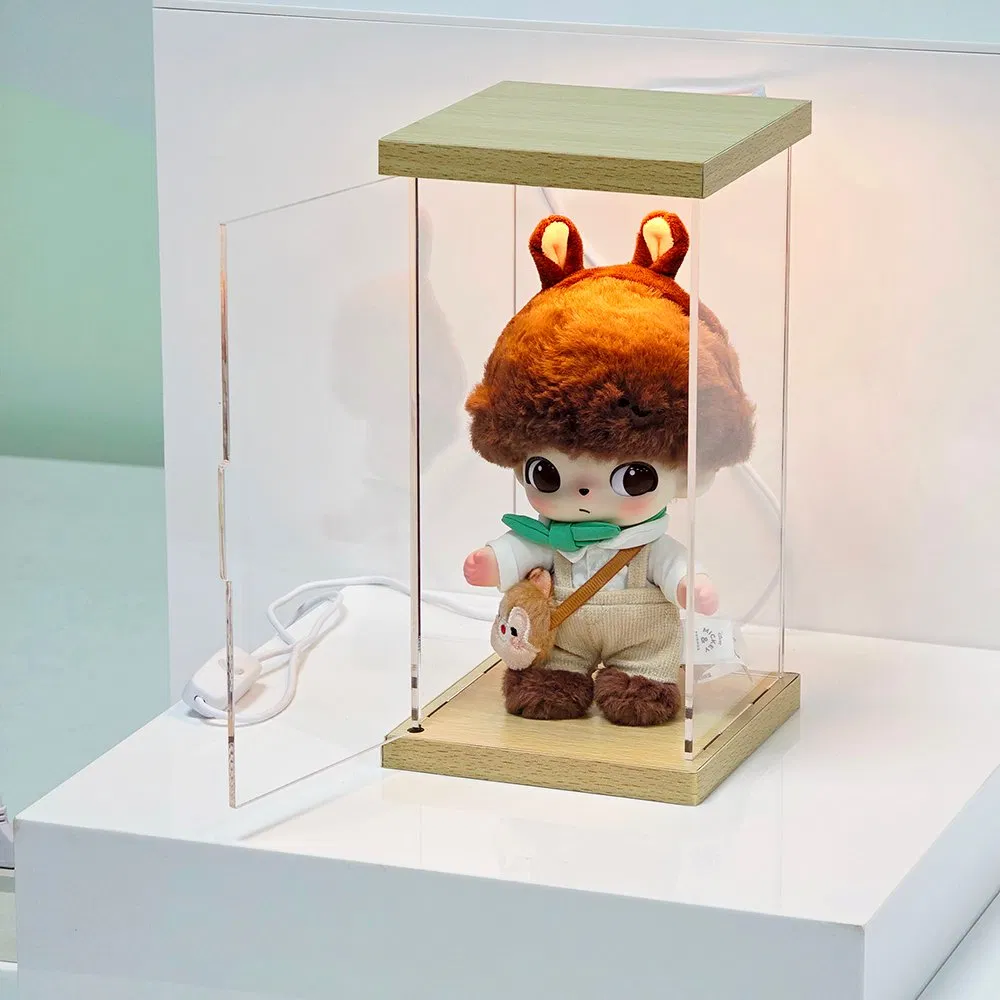 Factory Wholesale Transpaernt Acrylic Display Box with Light for Doll