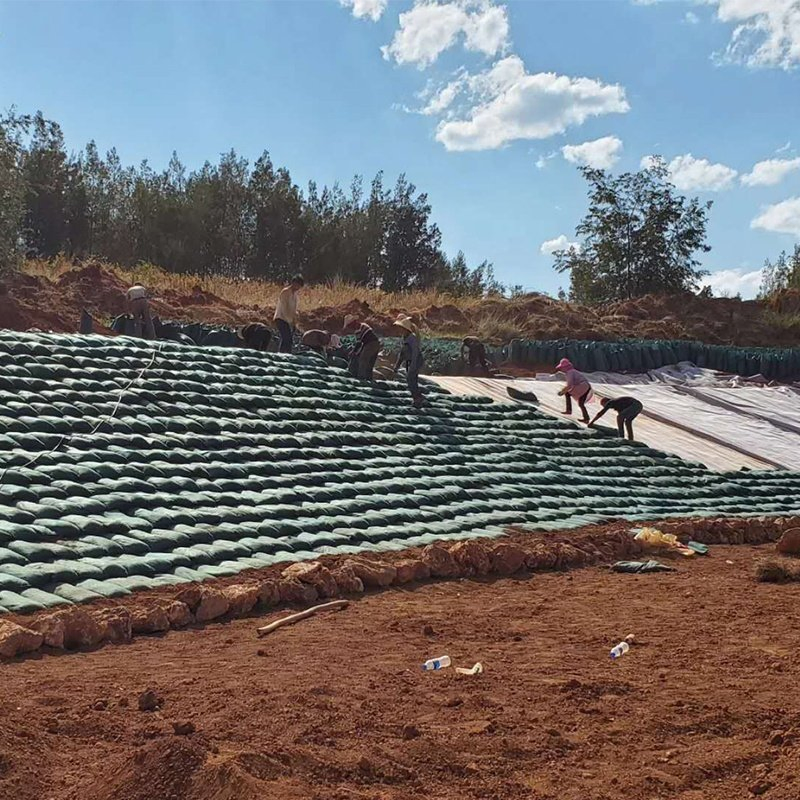 Ecological River Embankment Nonwoven Geotextile Geobag Retaining Wall Sand Bag