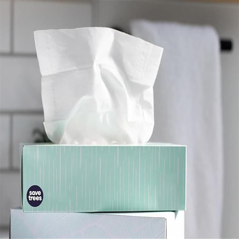 Pocket-Size Facial Tissues: 10 Sheets/Pack, Perfect for on-The-Go Cleanups