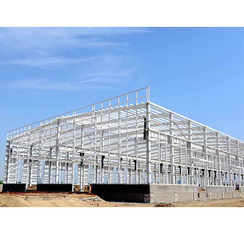 Modular House Poultry Farms Prefab House Building Material