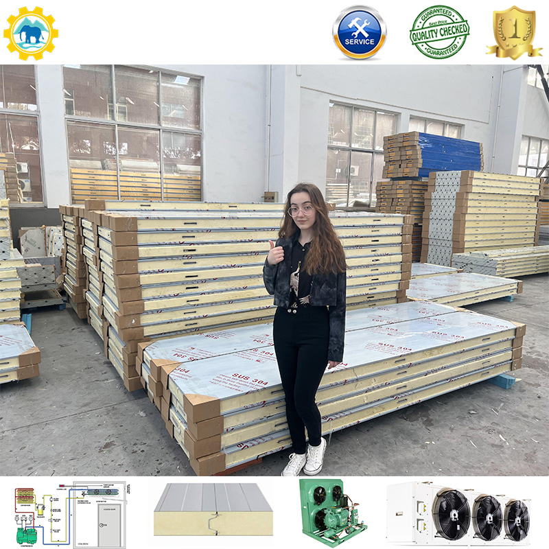 Good Insulation Sandwich Panels Insulated PIR/PU Panel for Cold Room Warehouse Housing