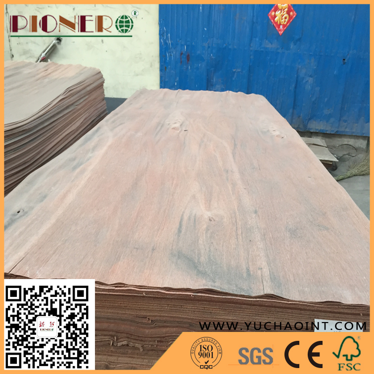 AA Grade Natural Gurjan/ Keruing Veneer as Plywood Face