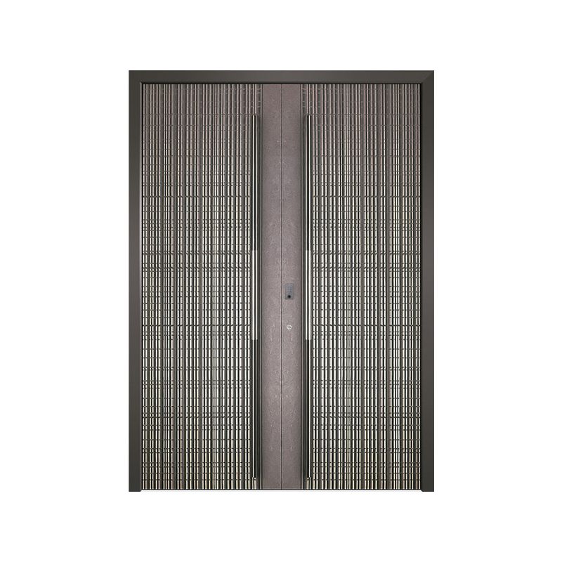 Premium Fireproof Glass Entry Doors for Jhr Steel Homes