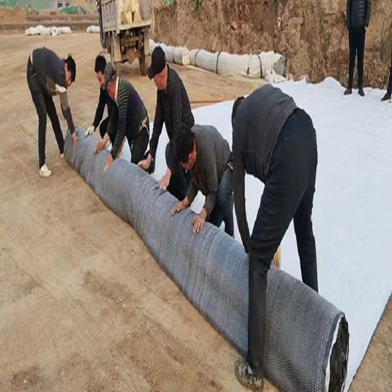 Premium Geosynthetic Clay Liner for Agricultural Protection and Filtration Systems