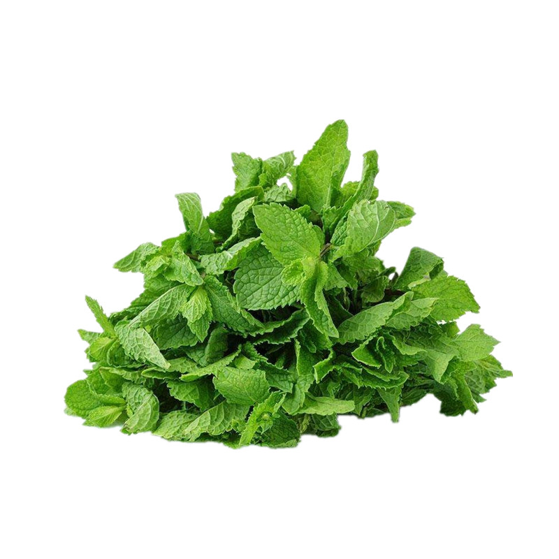Hot Sale Mint Menthol Essential Oil Peppermint Oil for Skin Care