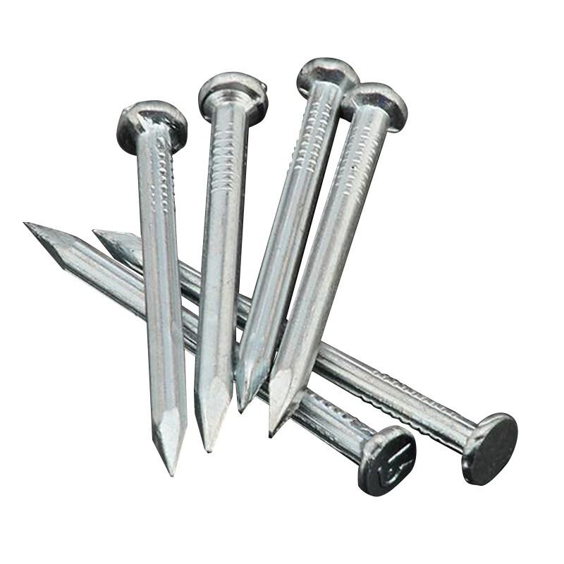 Flat Head or Umbrella Head Galvanized Roofing Nail Customized Various Sizes of Steel Nails Nails